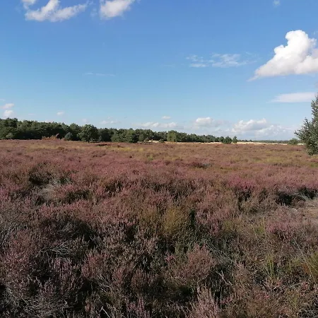 De Schaapskooi * Drunen