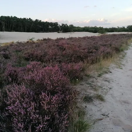 De Schaapskooi Ferienhaus *