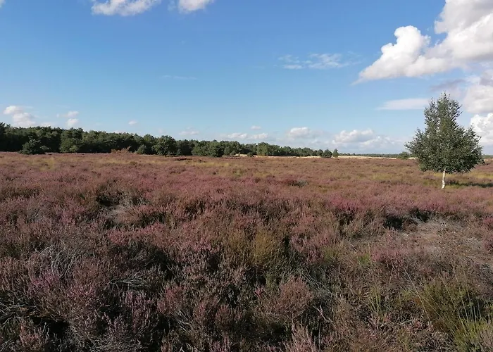 De Schaapskooi * Drunen