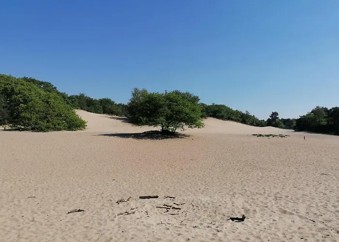 De Schaapskooi Semesterbostad