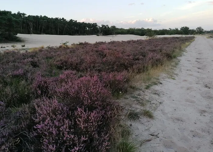 De Schaapskooi Hébergement de vacances *