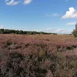 De Schaapskooi * Drunen