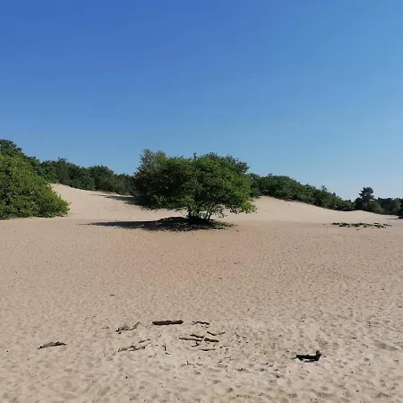 De Schaapskooi Дом отдыха